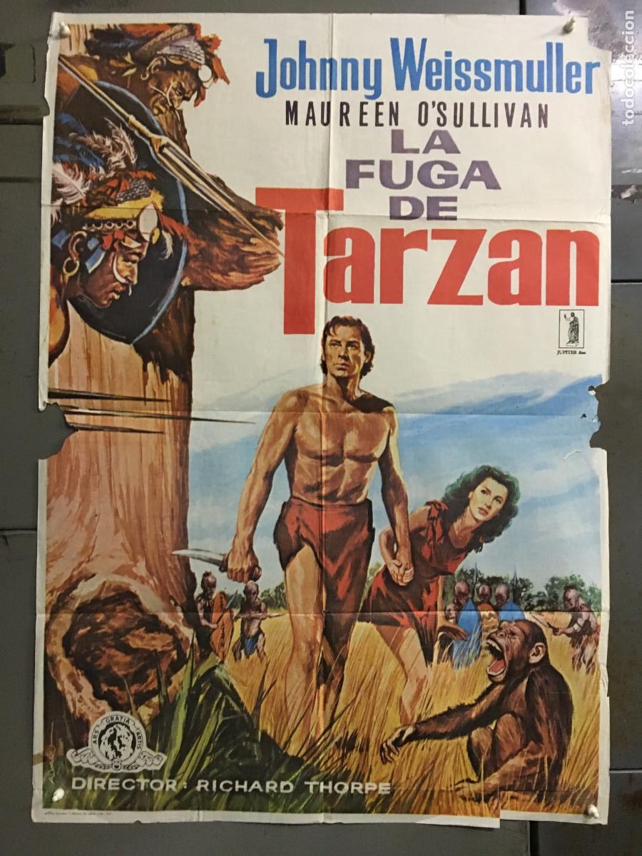 Cine: ODC C879 LA FUGA DE TARZAN JOHNNY WEISSMULLER POSTER ORIGINAL 70X100 ESPA&Ntilde;OL r-79