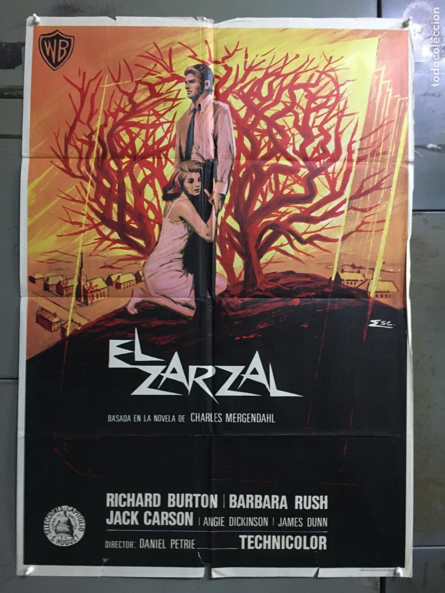 Cine: ODC C932 EL ZARZAL RICHARD BURTON ANGIE DICKINSON BARBARA RUSH POSTER ORIGINAL 70X100 ESTRENO