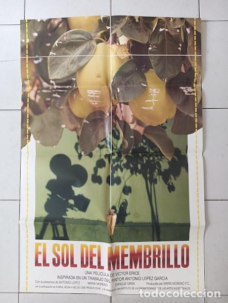 Cinema: VKD 2735 EL SOL DEL MEMBRILLO VICTOR ERICE ANTONIO LOPEZ POSTER ORIGINAL 62X94 ESTRENO