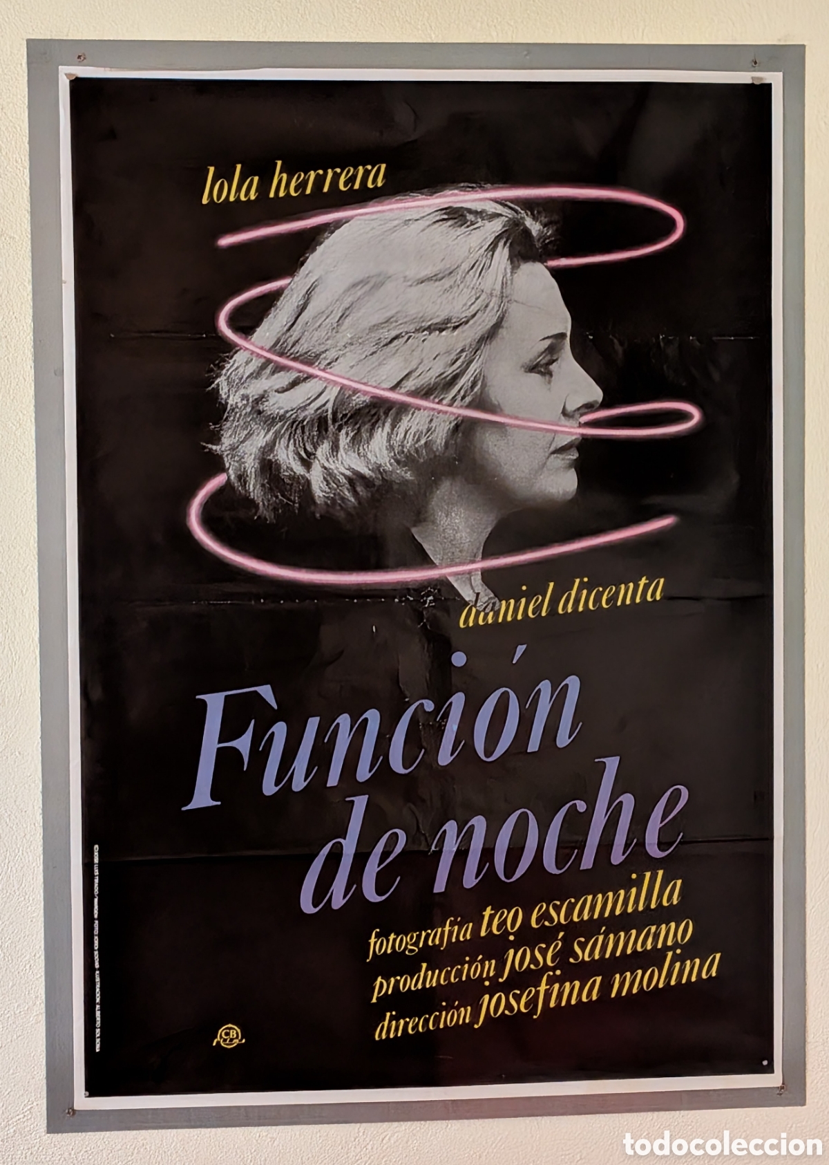 Cine: FUNCION DE NOCHE - 70 X 100 - (26)