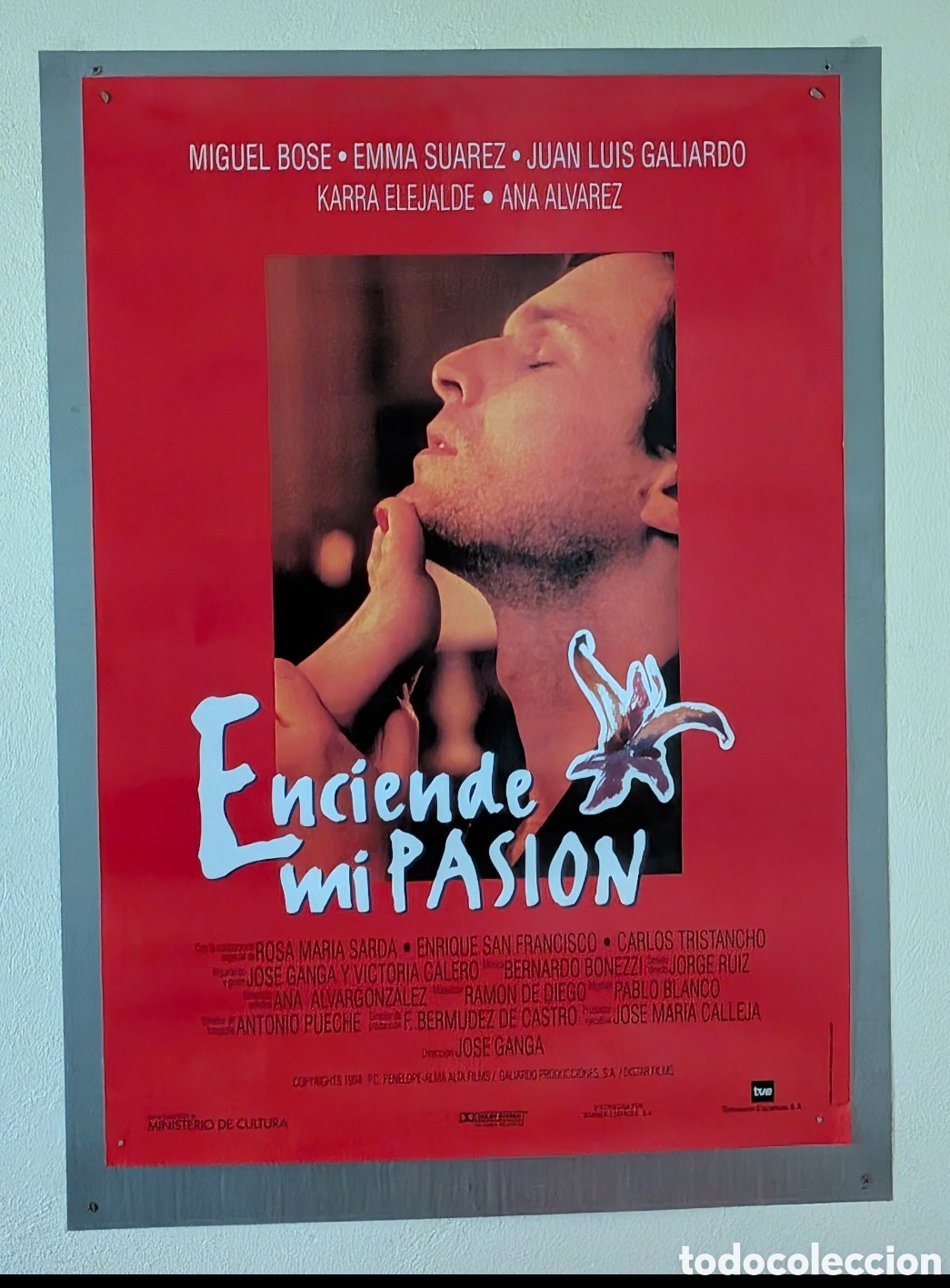 Cine: ENCIENDE MI PASION - 70 X 100 - (26)