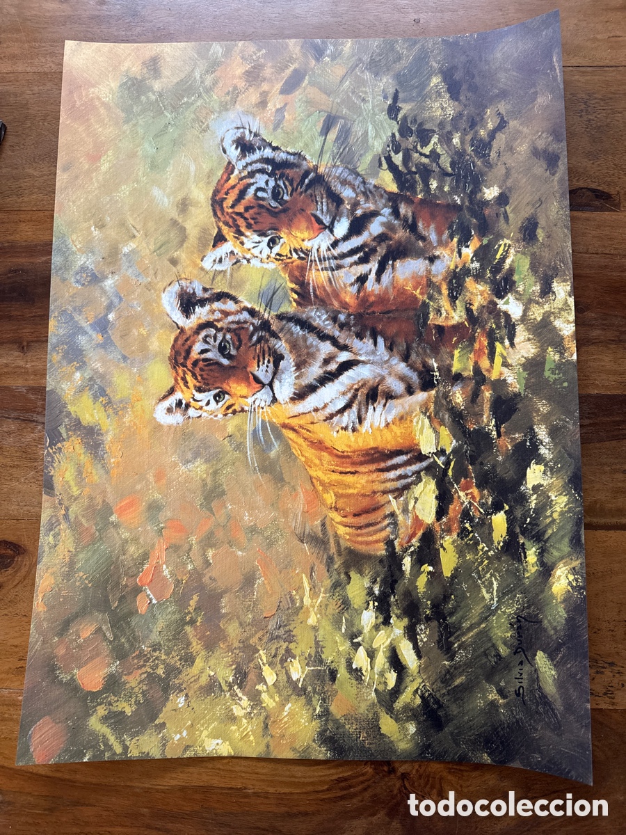 Cine: CARTEL LAMINA PINTURA TIGRES SILVIA DUR&Aacute;N