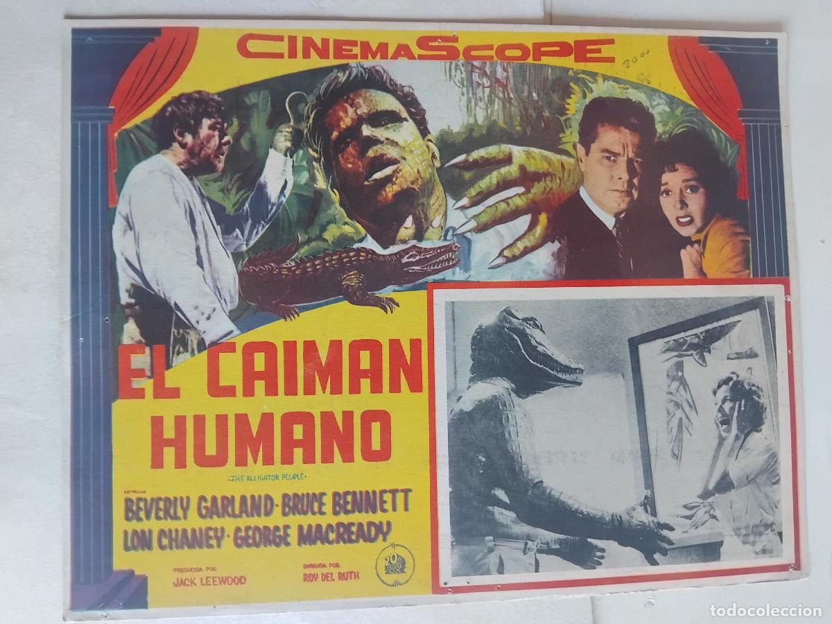Cine: EL CAIMAN HUMANO. BEVERLY GARLAND. BRUCE BENNETT. LON CHANEY. CARTEL DE CINE EN CARTON 32 X 42 CM.