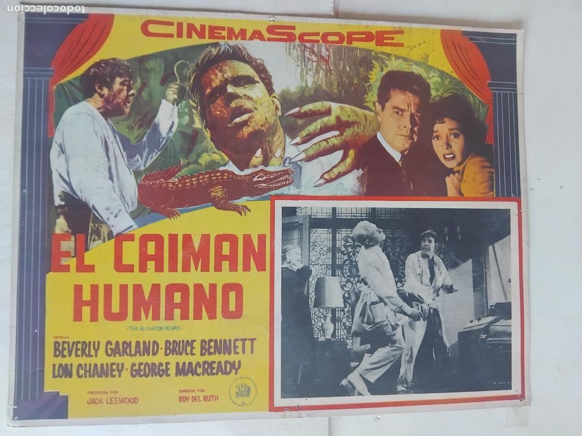 Cine: EL CAIMAN HUMANO. BEVERLY GARLAND. BRUCE BENNETT. LON CHANEY. CARTEL DE CINE EN CARTON 32 X 42 CM.