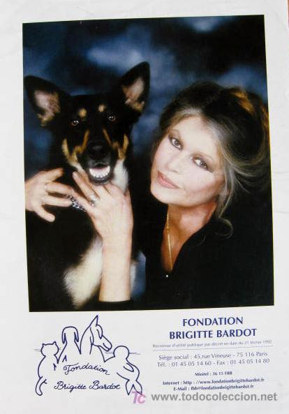 Cine: BRIGITTE BARDOT PROGRAMA DE LA FUNDACION B.B. - Foto 1