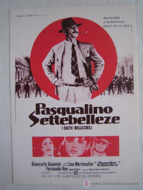 Cinema: Pasqualino settebelleze - Cine italiano - Folleto reproduccion