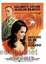 Cine: REFLEJOS EN UN OJO DORADO.POR MARLON BRANDO.  REPRODUCCION EN PAPEL A&Ntilde;OS 80.