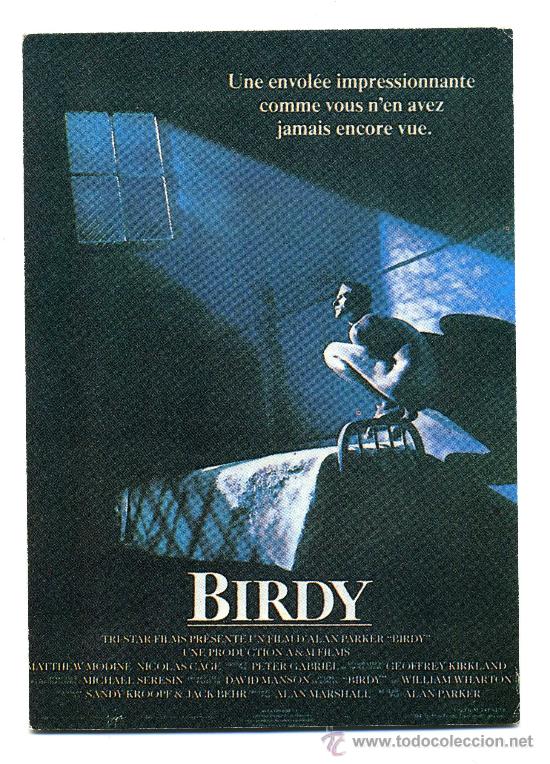 Kino: BIRDY.