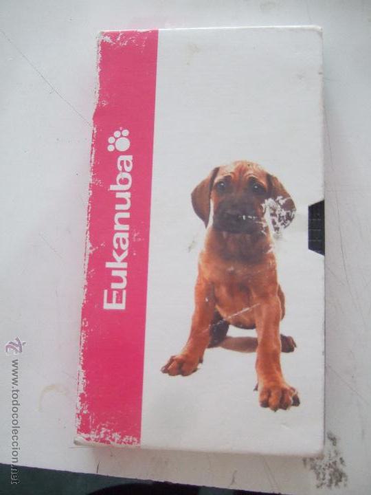 Cine: EUKANUBA - Foto 1
