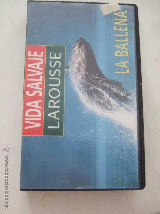 Cine: VIDA SALVAJE LA ROUSSE - Foto 1
