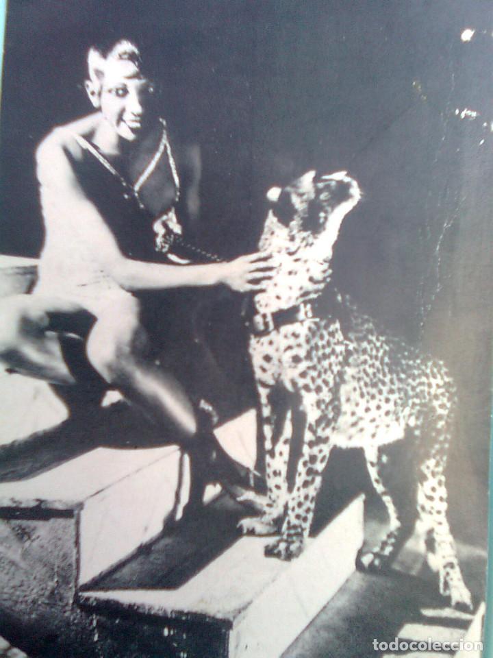Kino: Postal Josephine Baker y guepardo
