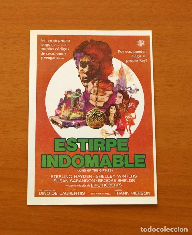 Cinema: Estirpe indomable, King of the Gypsies - A&ntilde;o 1978 - Sterling Hayden, Shelley Winters, Susan Sarandon
