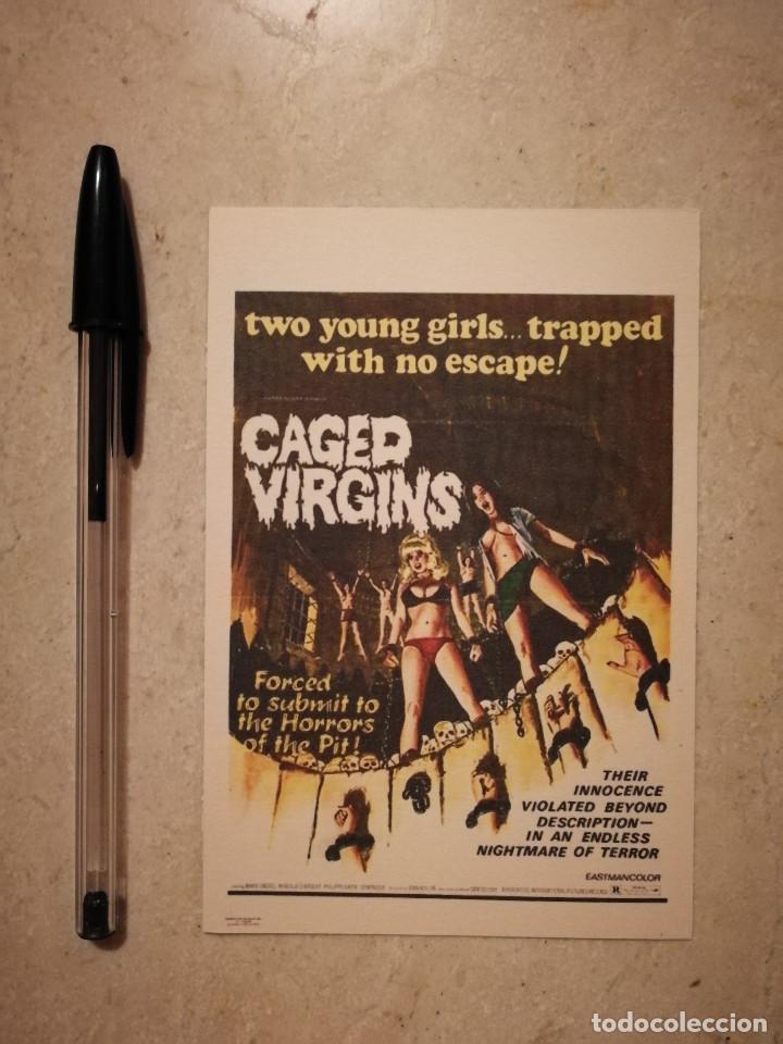 Cinema: REPRODUCCION -9*13- CAGED VIRGINS - ALBUM - SEXPLOITATION 70*s - TERROR - Requiem por un vampiro