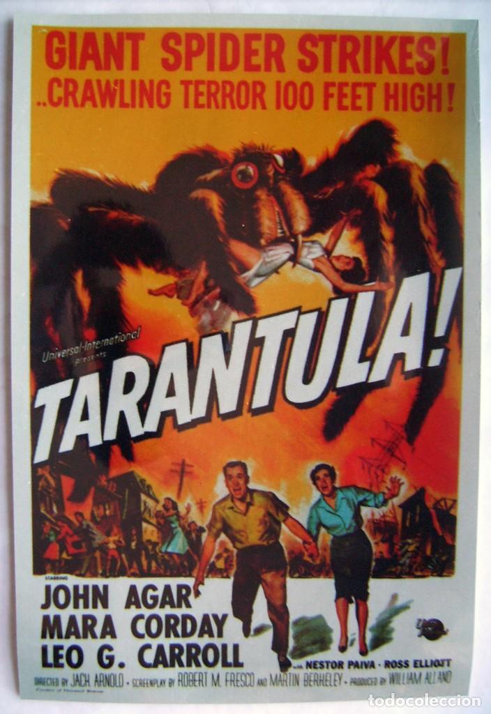 Kino: TAR&Aacute;NTULA, con John Agar. MINIPOSTER 38,5 x 57 cms. reproducci&oacute;n fotogr&aacute;fica.