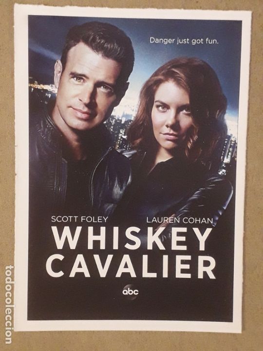 Cinema: FICHA SERIE TV, WHISKEY CAVALIER (TEMPORADA 1) 2019. SCOTT FOLEY, LAUREN COHAN
