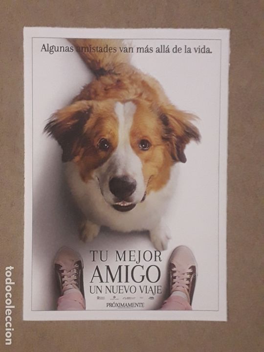Cinema: FICHA PEL&Iacute;CULA, TU MEJOR AMIGO: UN NUEVO VIAJE, 2019. GAIL MANCUSO