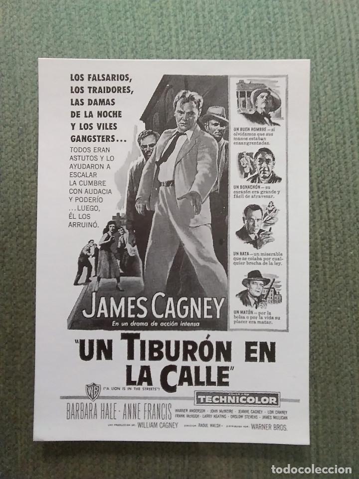Kino: PROGRAMA DE CINEUN TIBURON EN LA CALLE