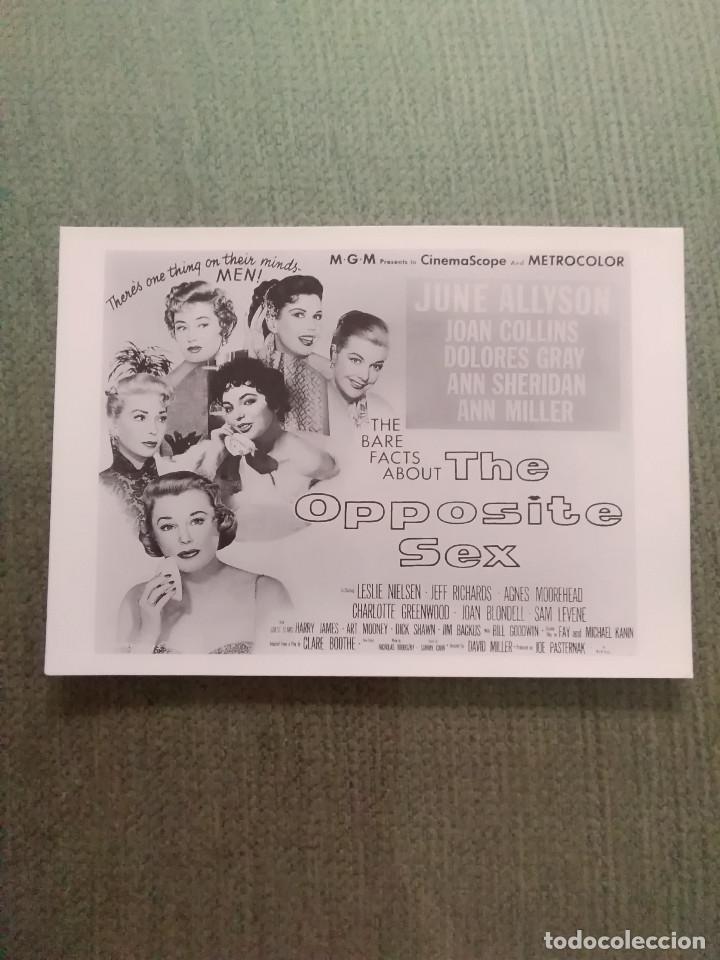 Kino: PROGRAMA DE CINE MODERNO THE OPPOSITE SEX