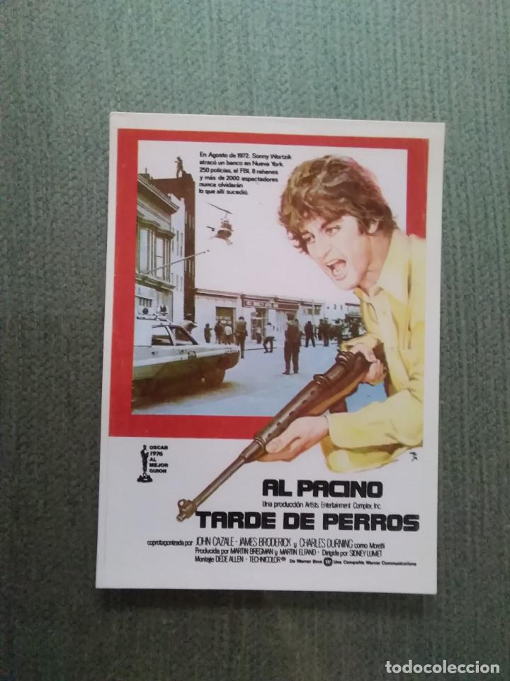 Kino: PROGRAMA DE CINE MODERNO TARDE DE PERROS