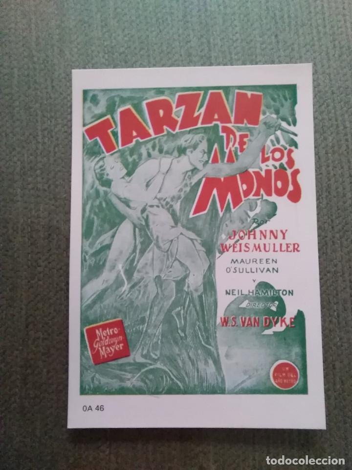 Cine: PROGRAMA DE CINE MODERNO TARZAN DE LOS MONOS - Foto 1