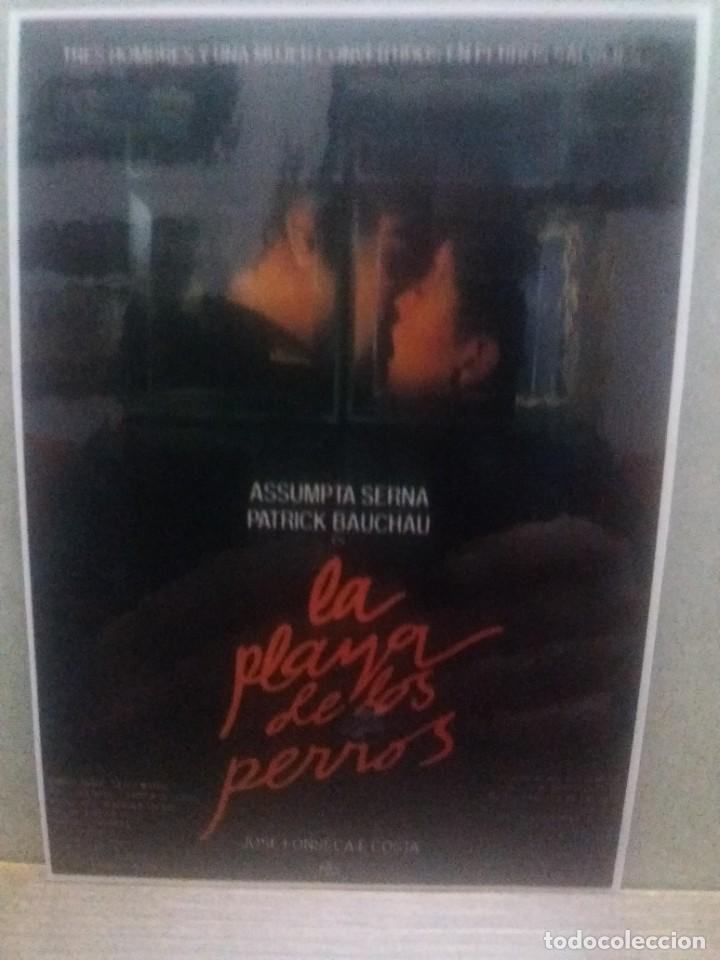 Kino: La Playa de los perros