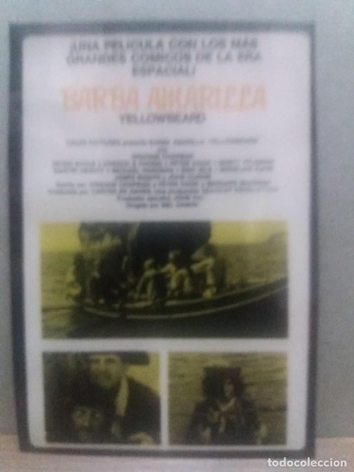 Kino: Barba amarilla