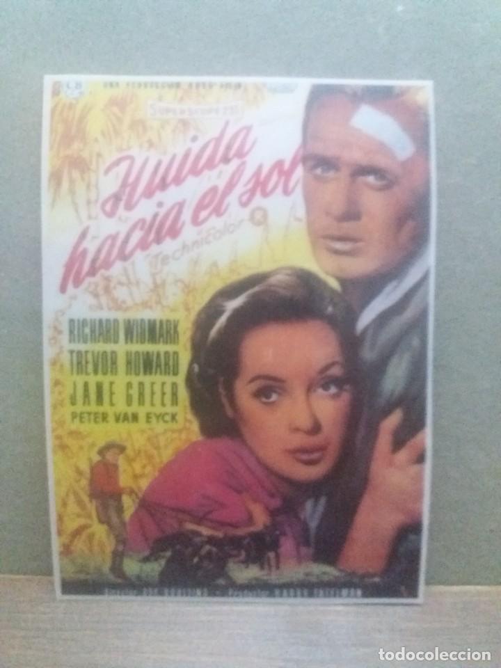 Kino: Huida hacia el sol
