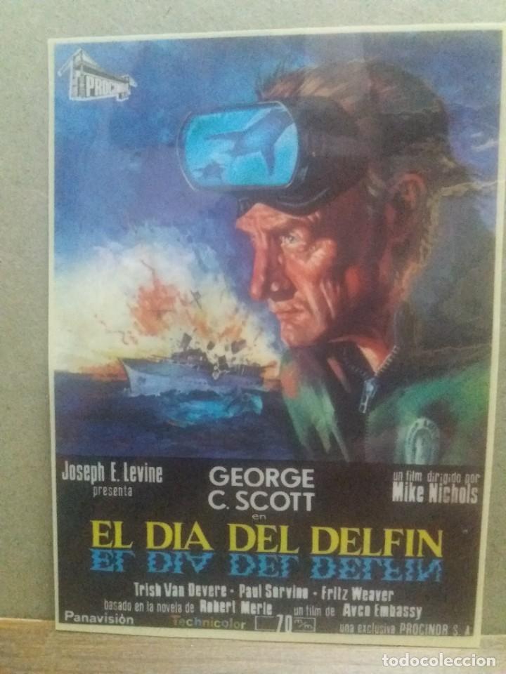 Cine: El d&iacute;a del delf&iacute;n - Foto 1
