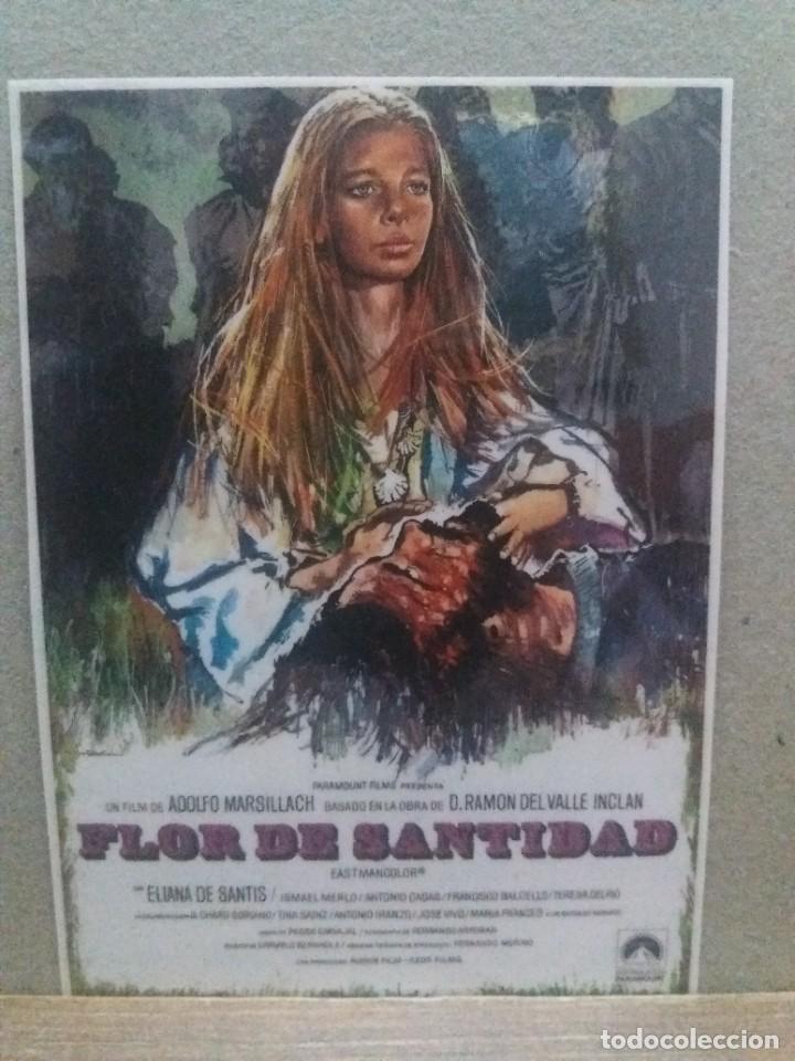 Kino: Flor de santidad