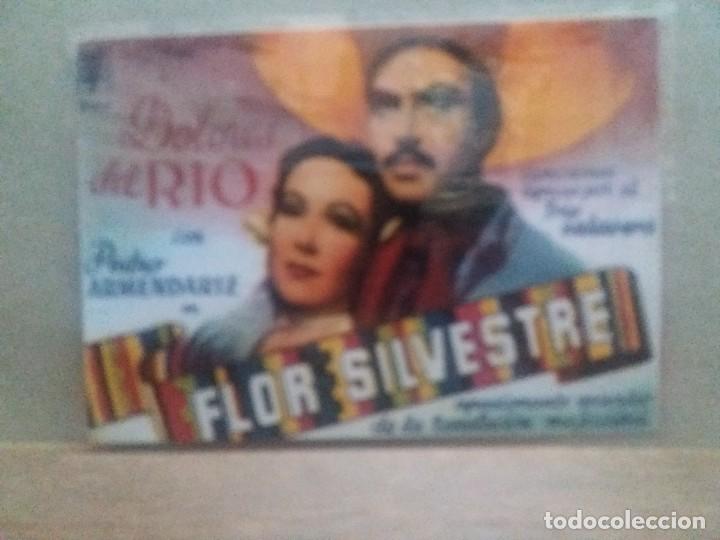 Cine: Flor silvestre - Foto 1