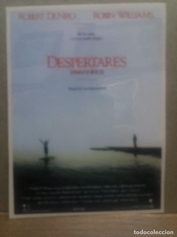 Kino: Despertares