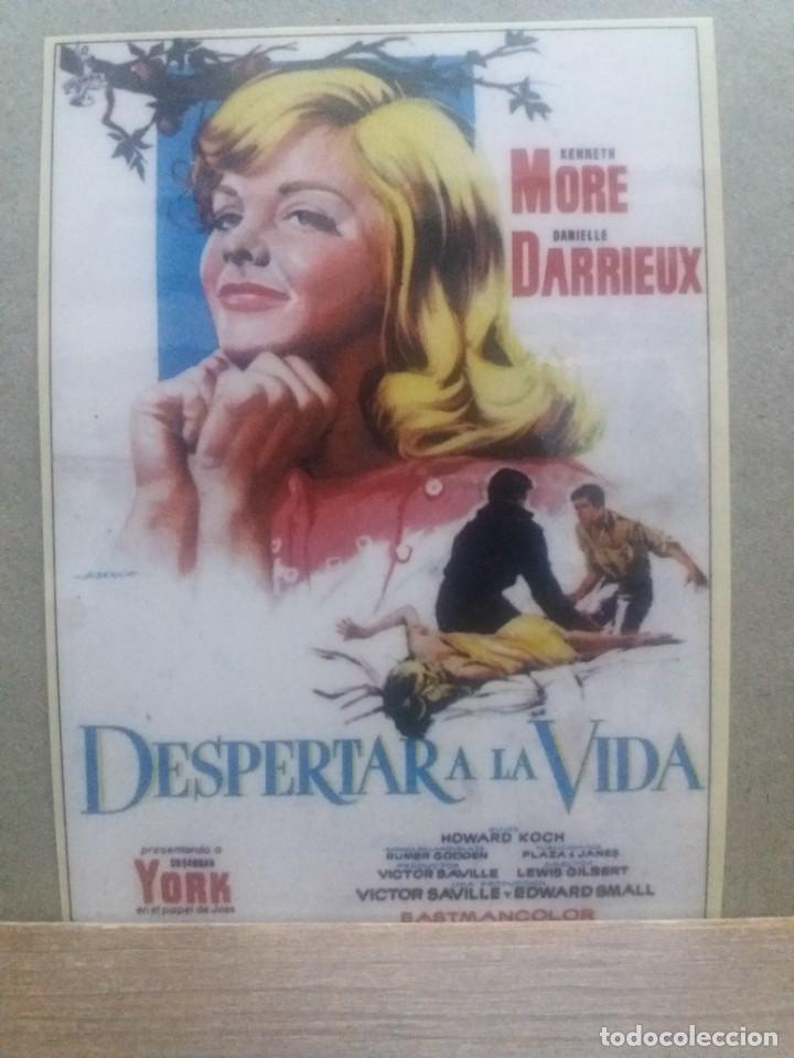 Kino: Despertar a la vida plastificado