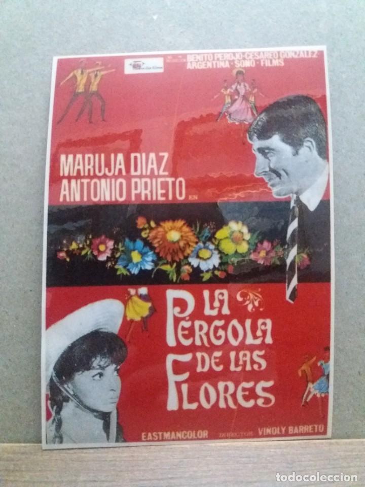 Kino: La P&eacute;rgola de las flores