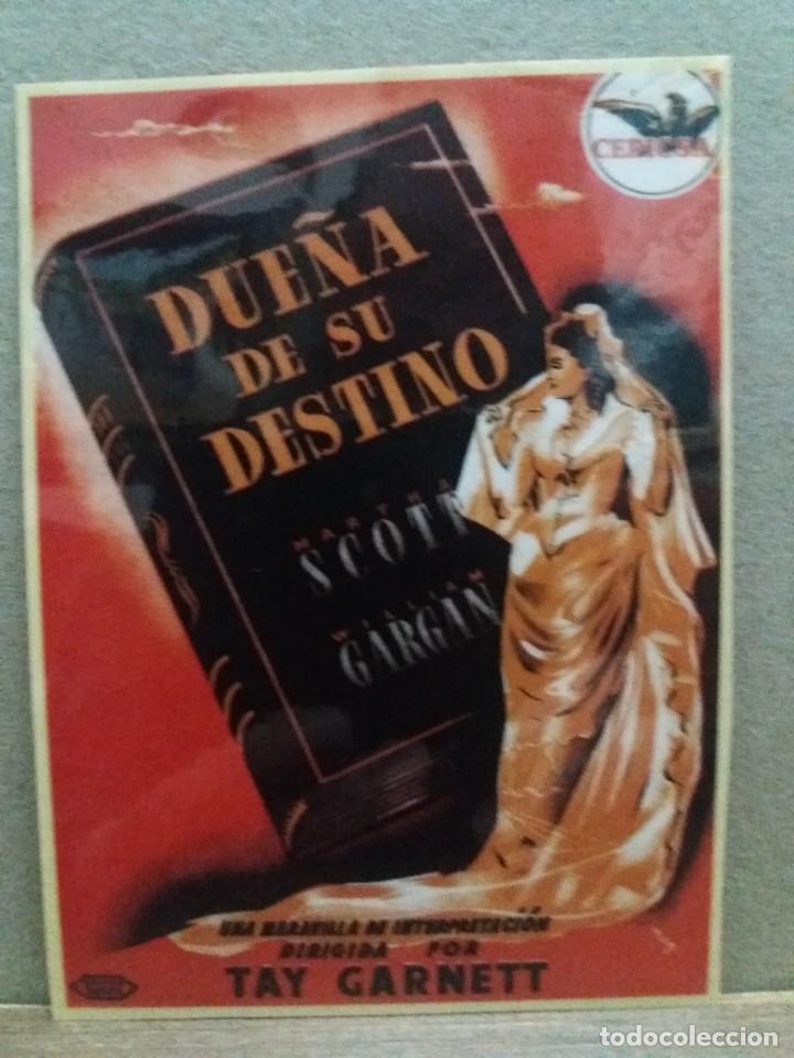 Kino: Due&ntilde;a de su destino