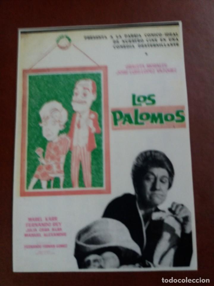 Cine: Los palomos - Foto 1