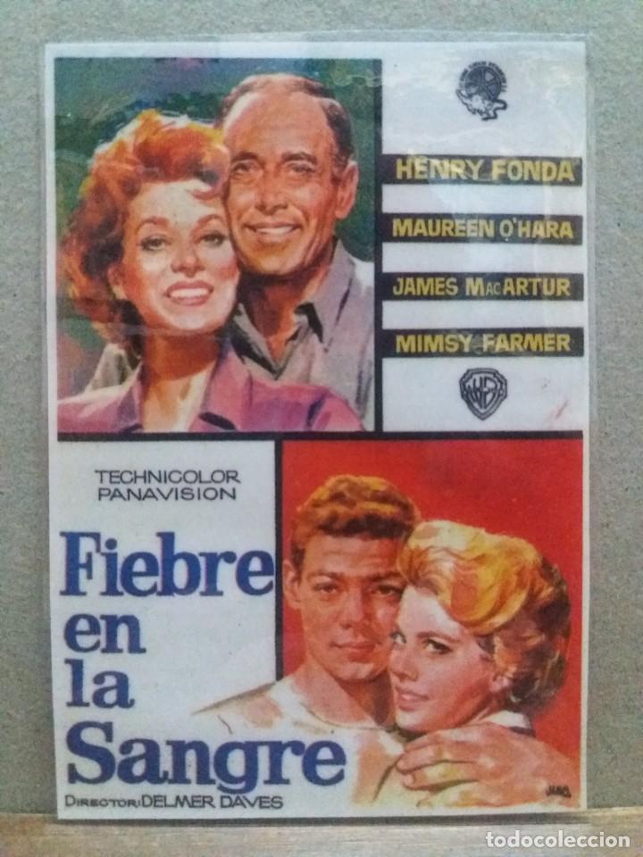 Cine: Fiebre en la sangre - Foto 1