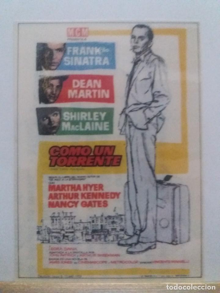 Cine: Como un torrente - Foto 1