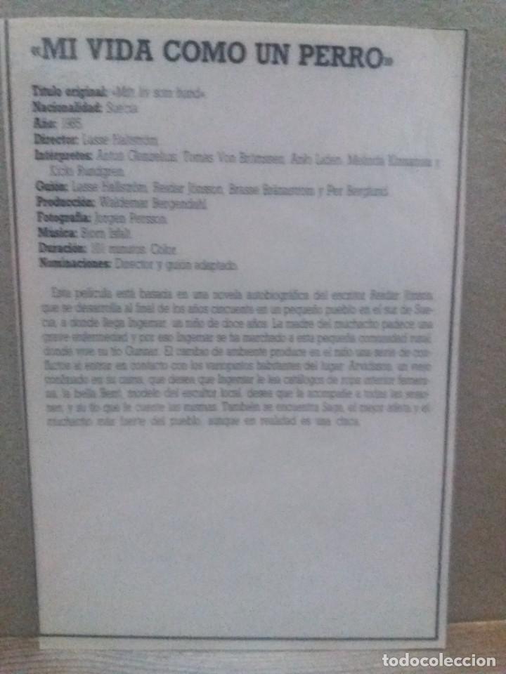 Cine: Mi vida como un perro - Foto 2