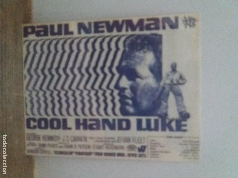 Kino: Cool hand Luke