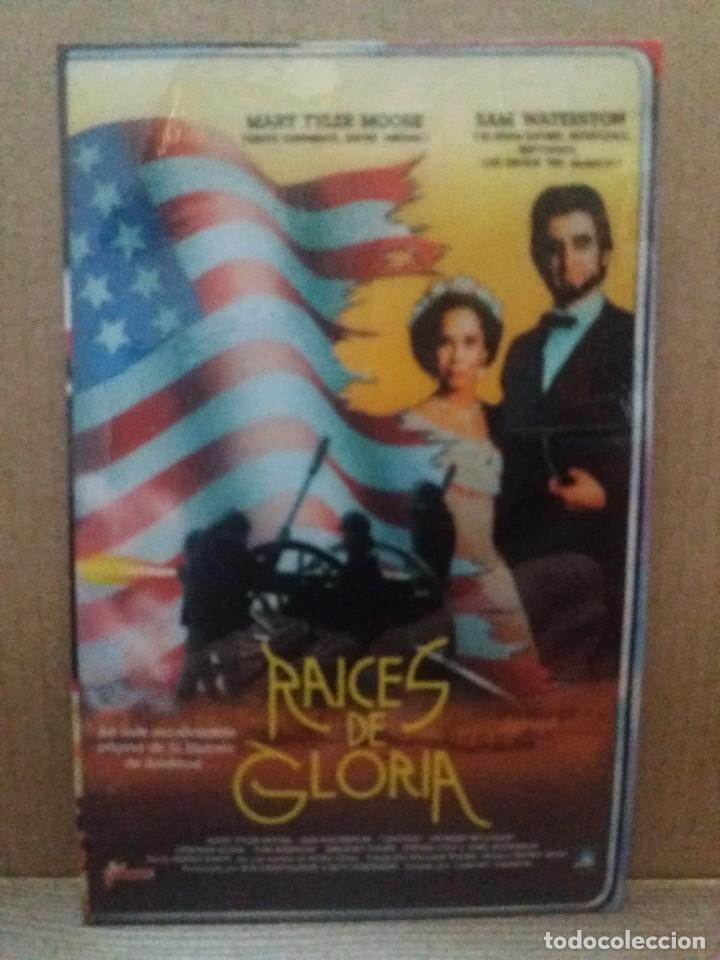 Kino: Raices de gloria