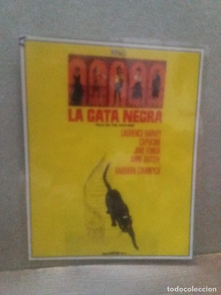 Kino: La gata negra