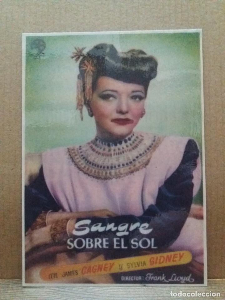 Kino: Sangre sobre el sol
