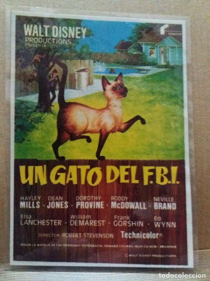 Kino: Un gato del F.B.I