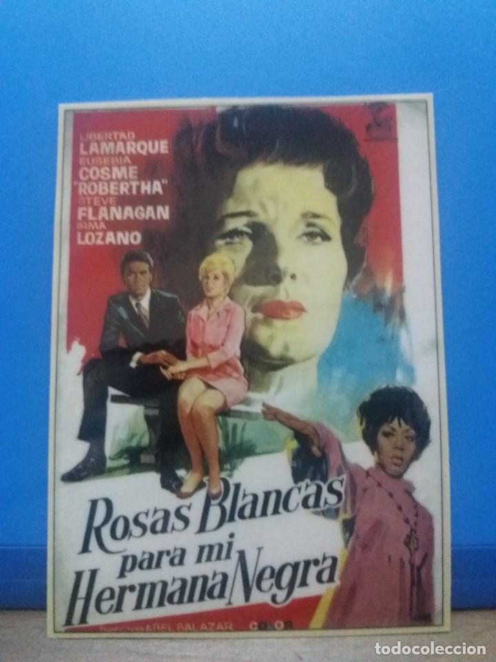 Kino: Rosas blancas para mi hermana negra