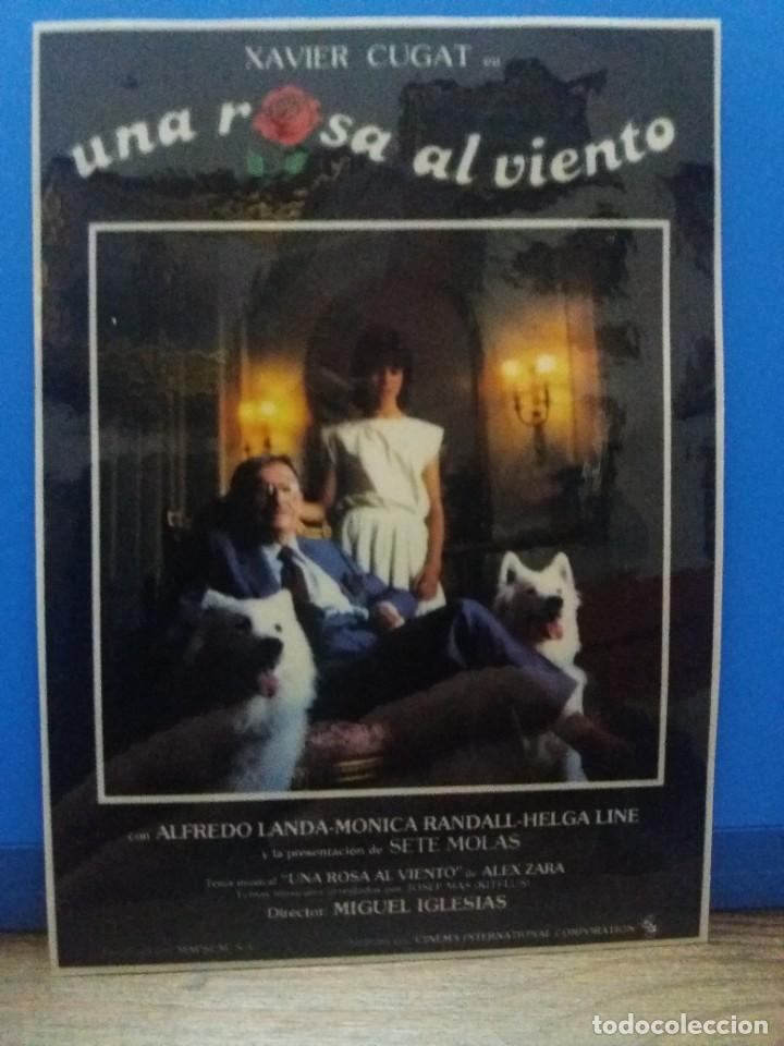 Cine: Una rosa al viento - Foto 1
