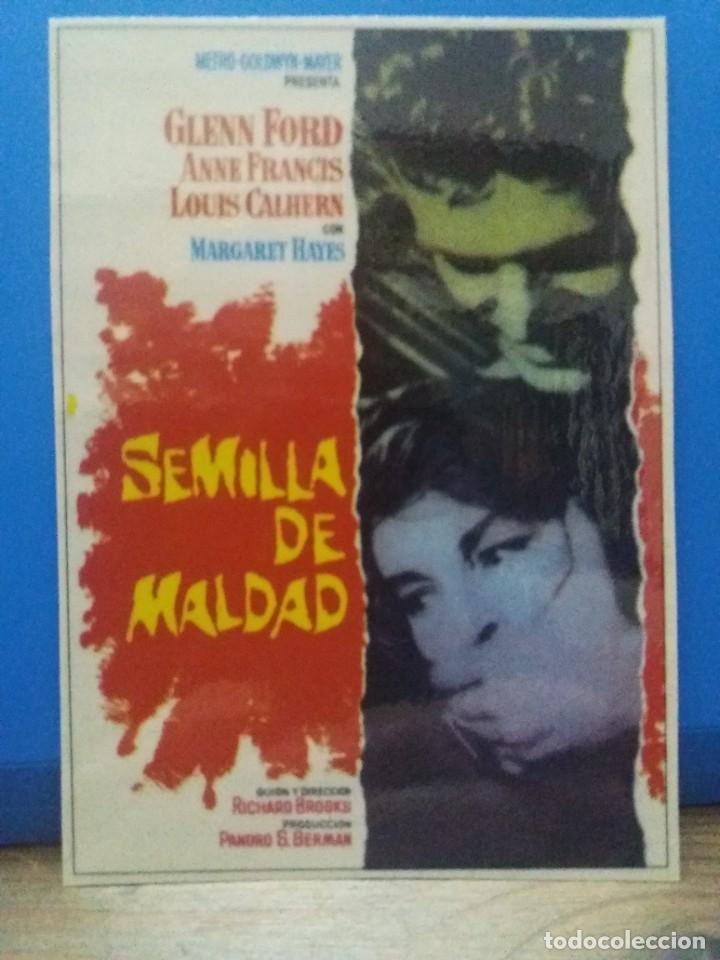 Kino: Semilla de maldad