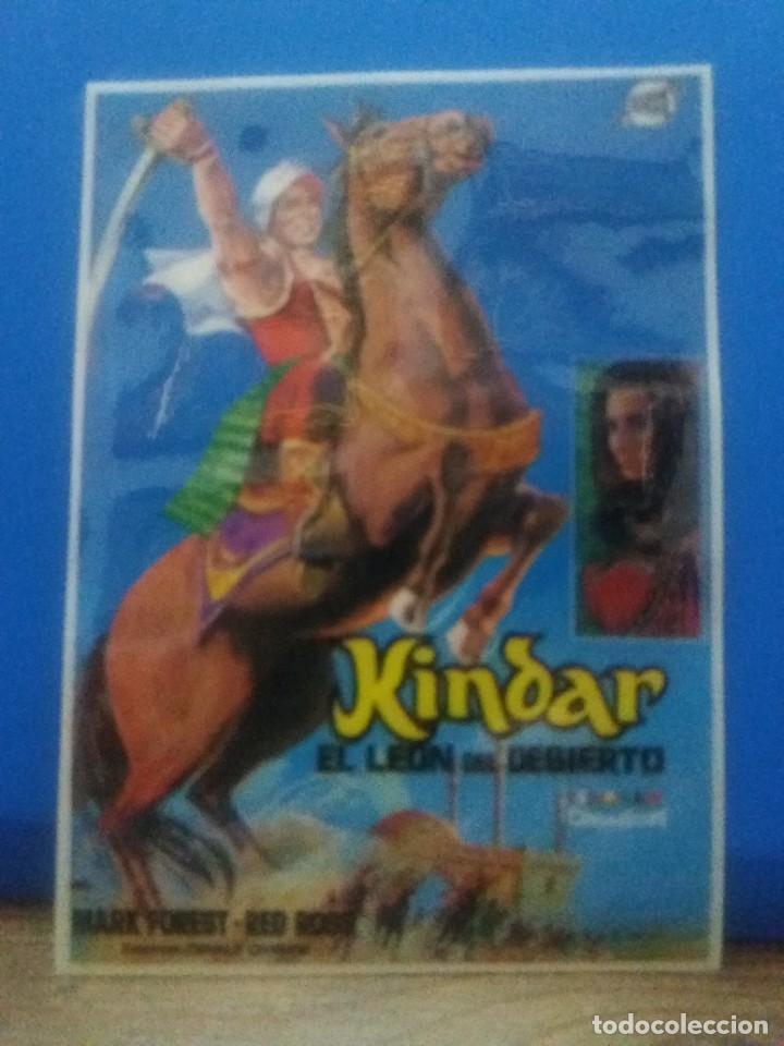 Kino: Kindar el leon del desierto
