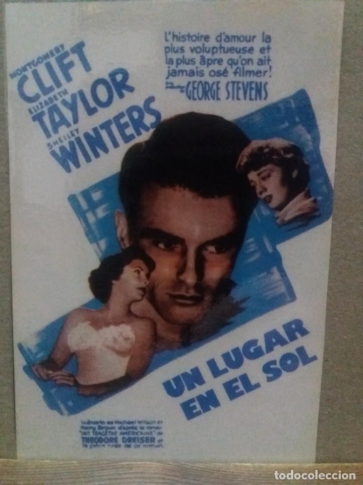 Kino: Un lugar en el sol