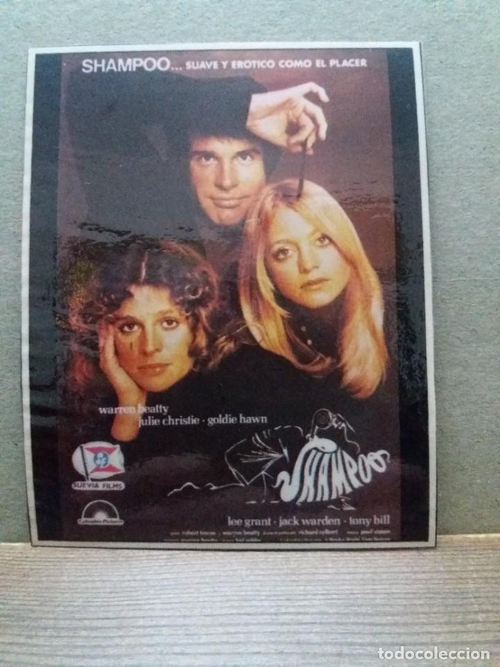 Cine: Shampoo - Foto 1