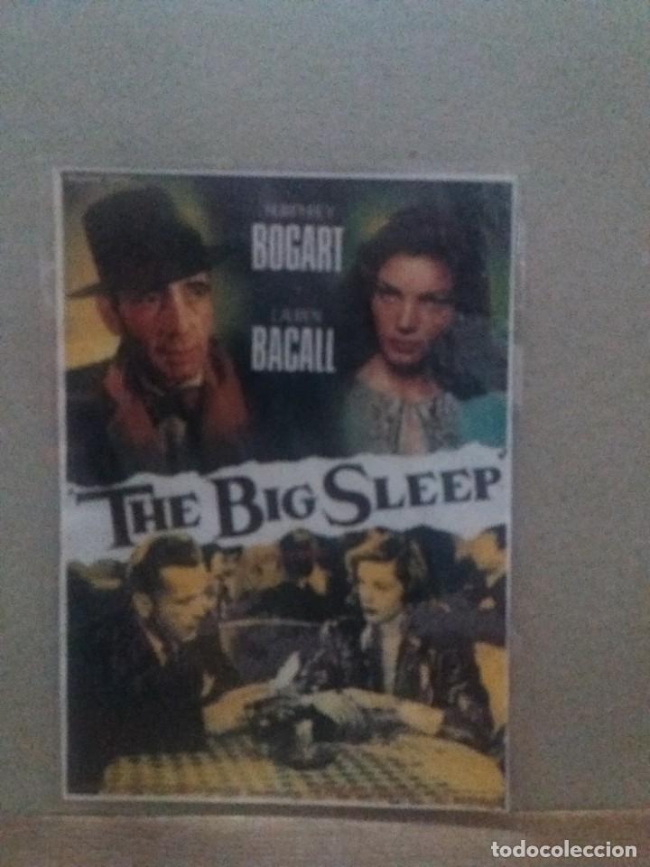 Kino: The big sleep